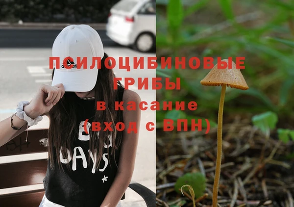 круглые Козловка