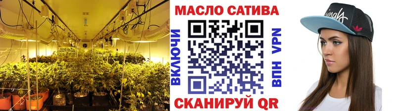 Купить где  Жуковский  ТГК концентрат 