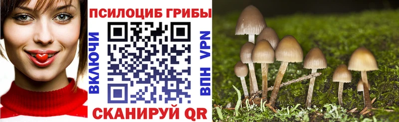 Галлюциногенные грибы Magic Shrooms  Купить где  Жуковский 