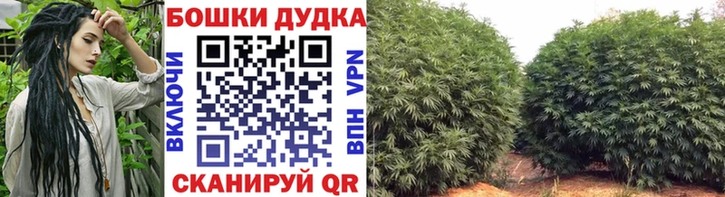 Купить закладки  Жуковский  Каннабис LSD WEED 
